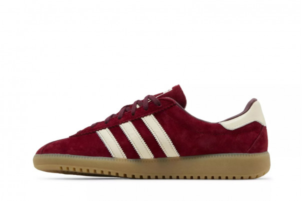 Adidas Bermuda Collegiate Burgundy